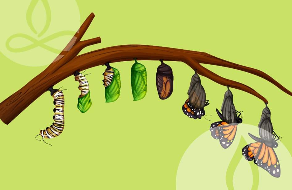 Transformation is a Choice